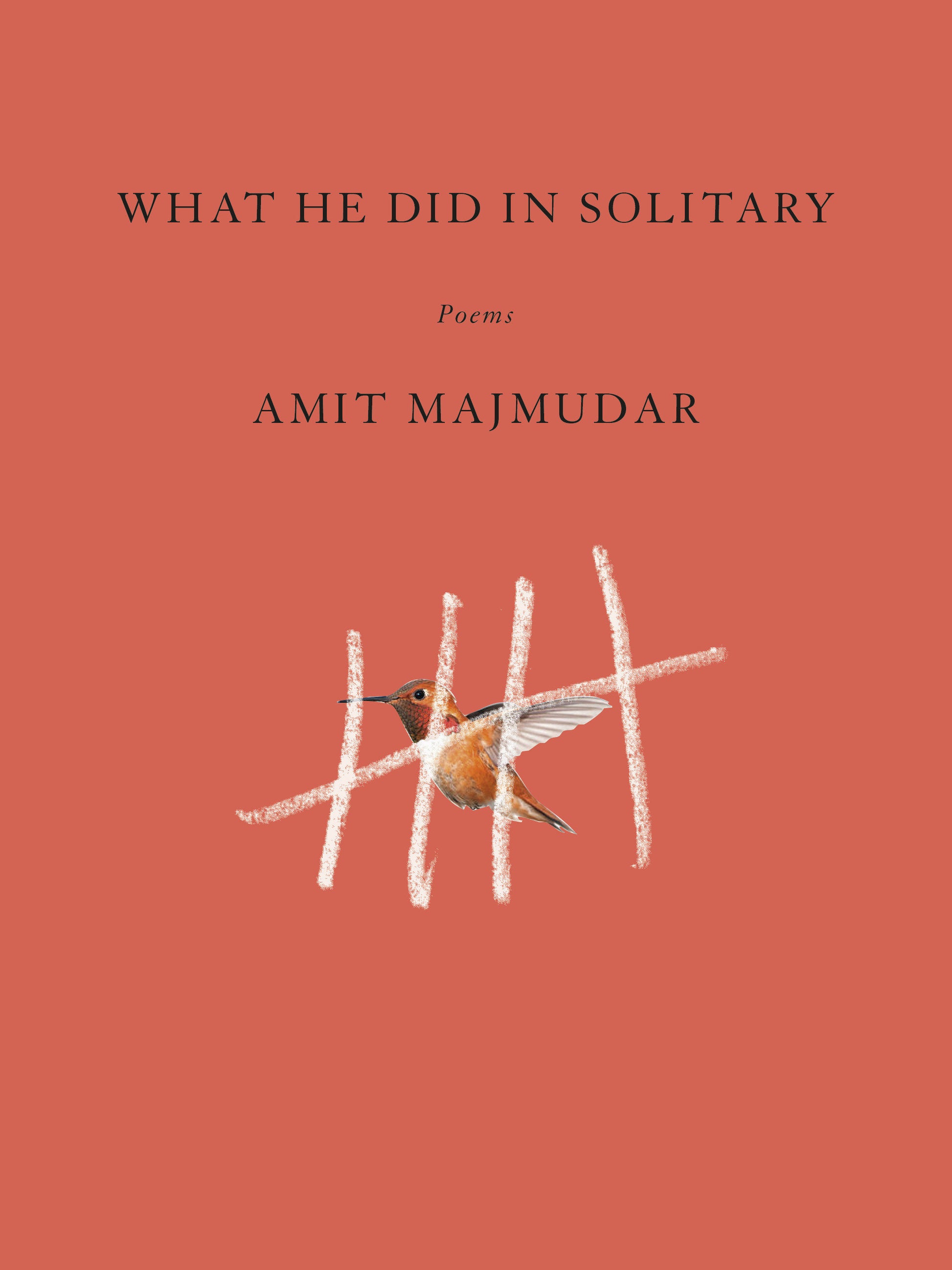 What He Did in Solitary - Poems
