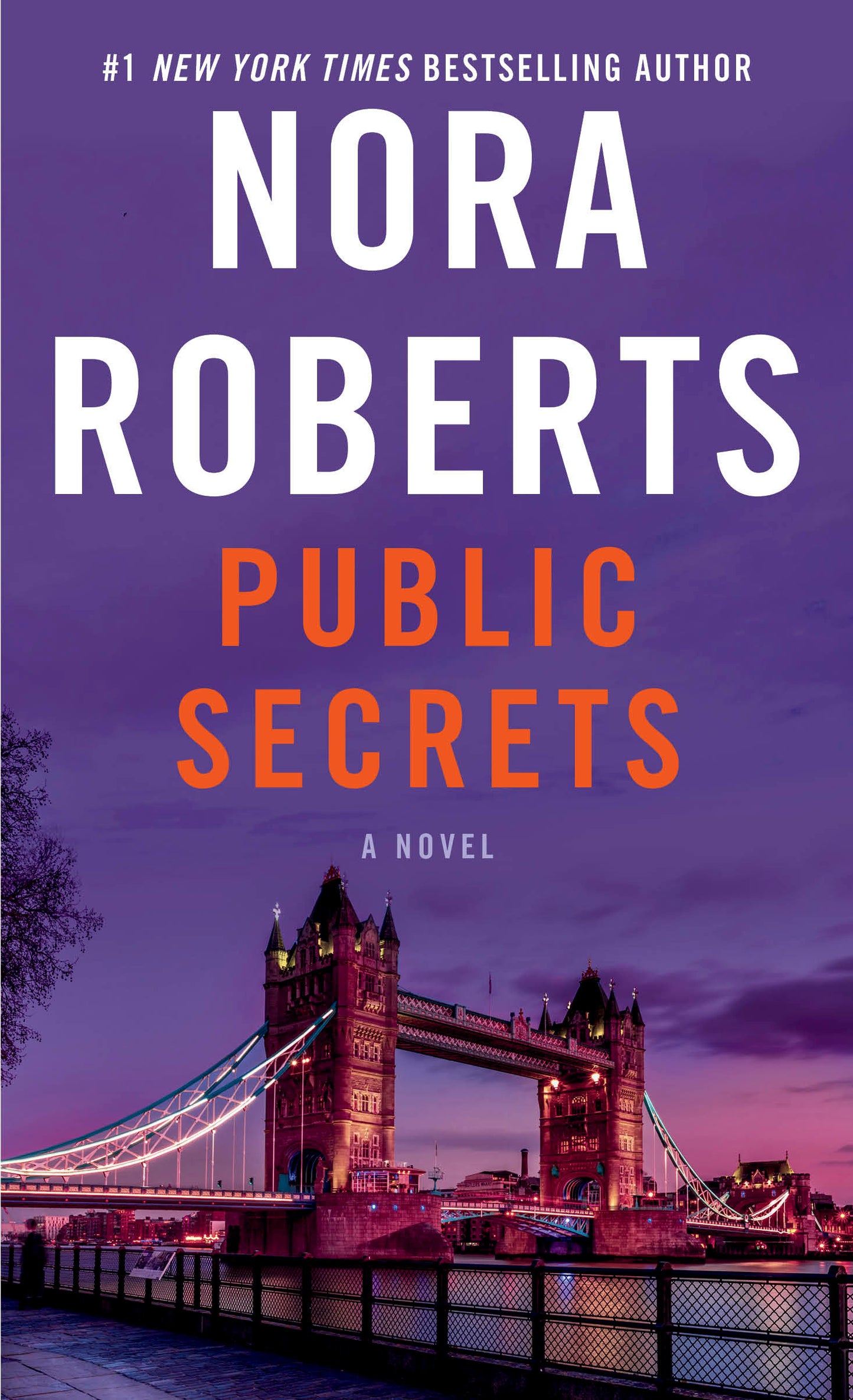 Public Secrets - A Novel