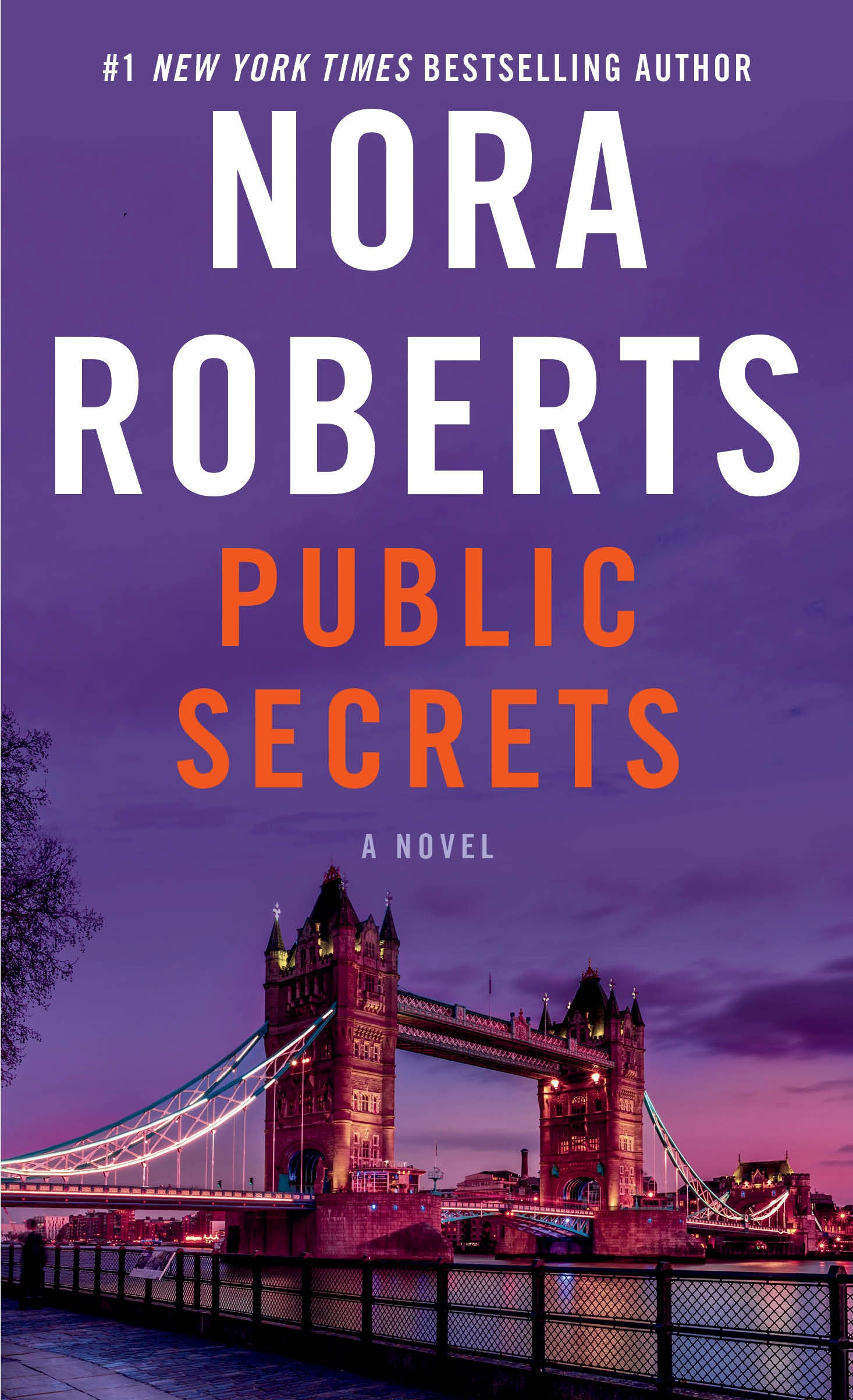 Public Secrets - A Novel