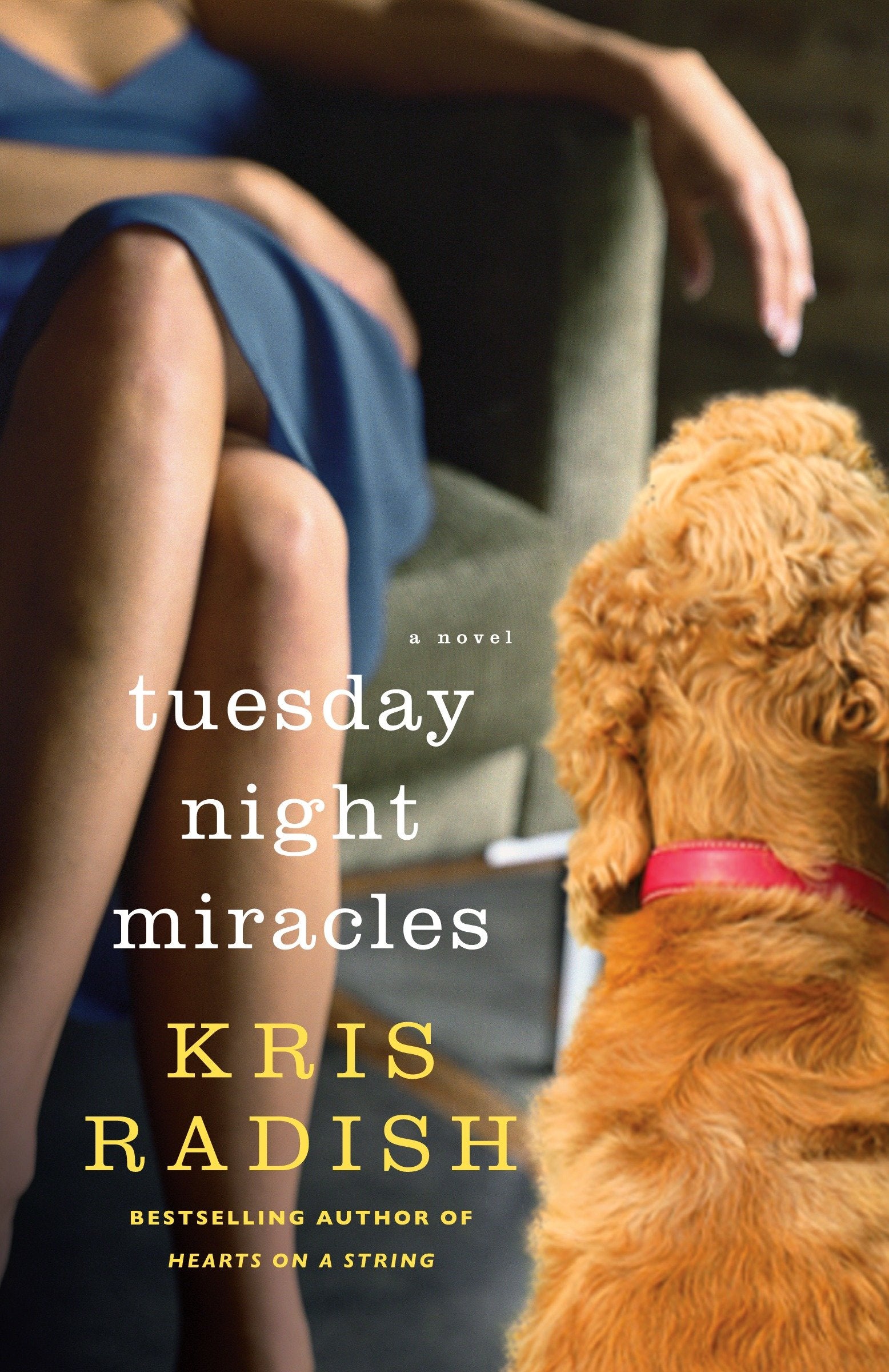Tuesday Night Miracles - A Novel