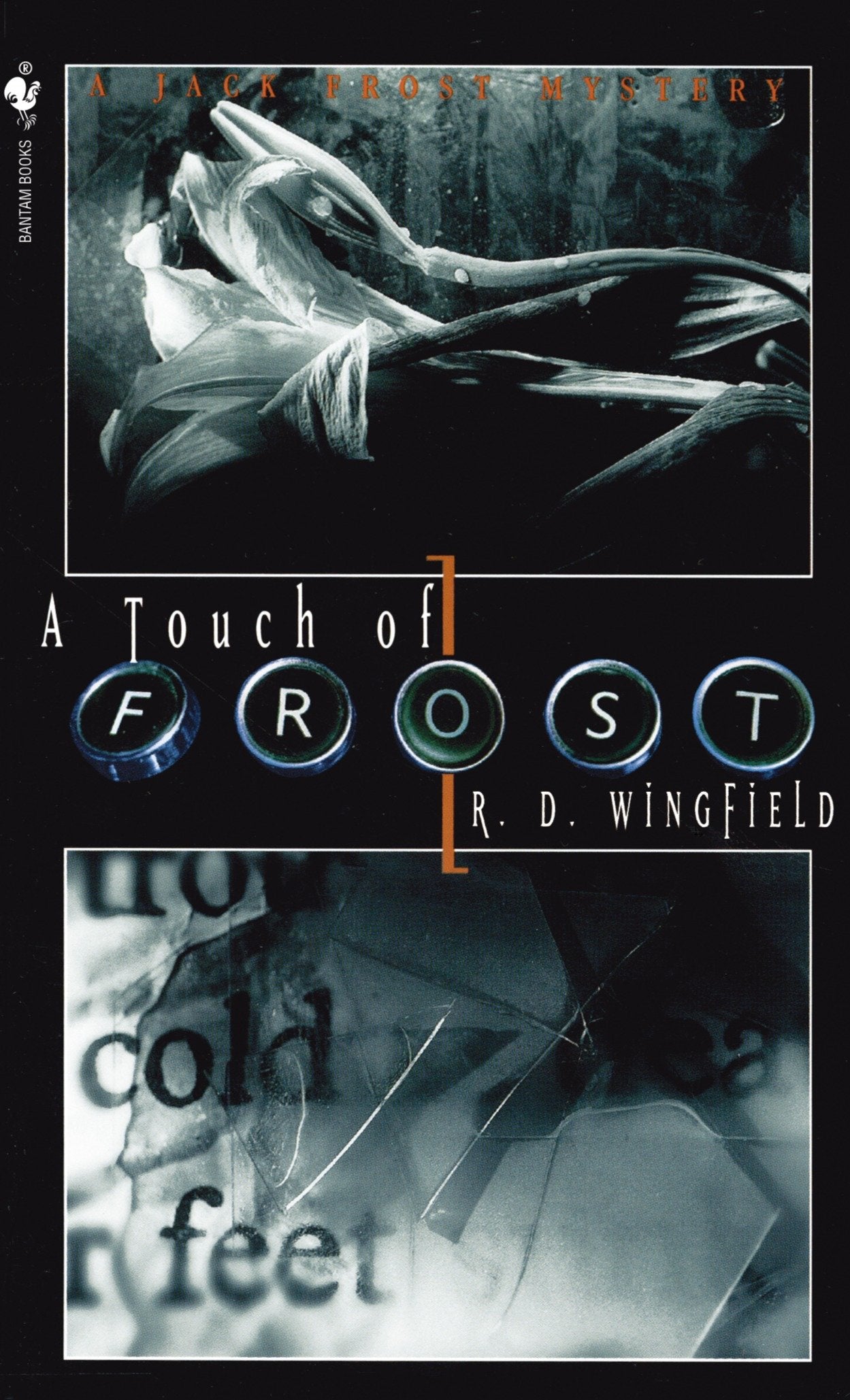A Touch of Frost (Jack Frost) (Book:2)