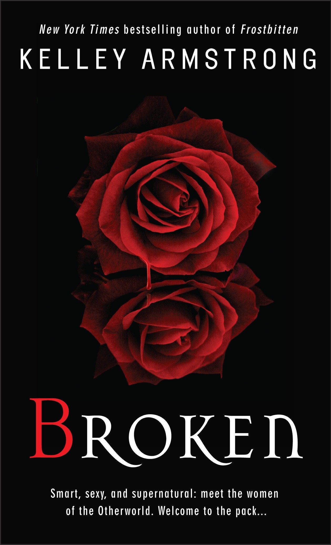 Broken (The Women of the Otherworld Series) (Book:6)