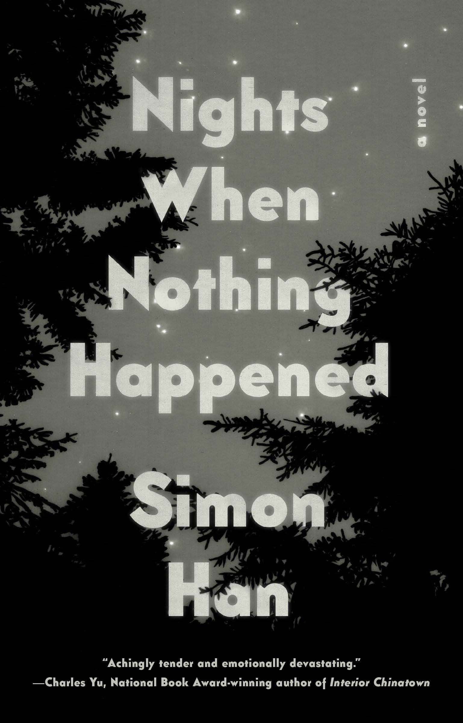 Nights When Nothing Happened - A Novel