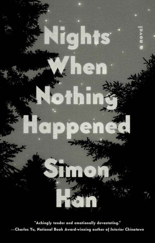 Nights When Nothing Happened - A Novel