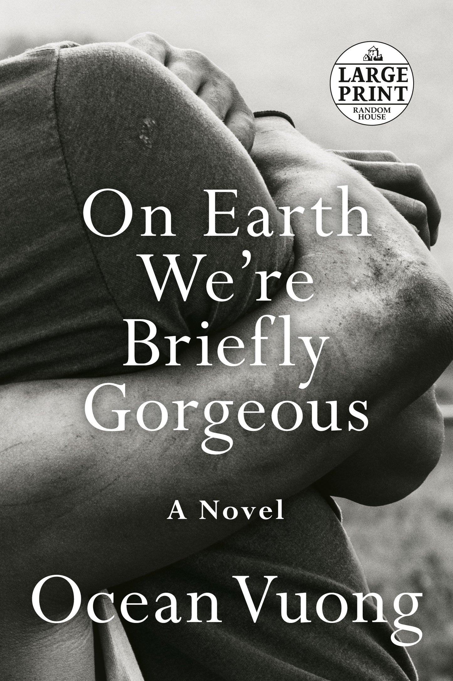 On Earth We're Briefly Gorgeous - A Novel