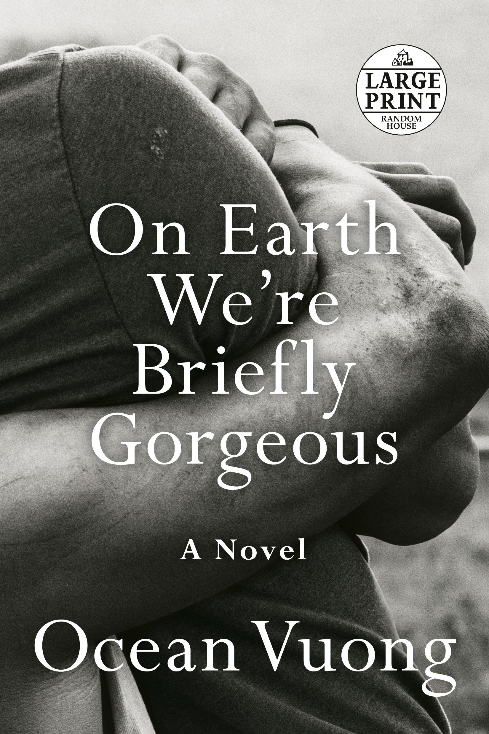 On Earth We're Briefly Gorgeous - A Novel