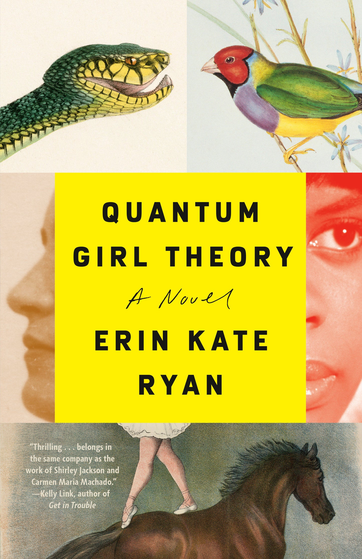 Quantum Girl Theory - A Novel