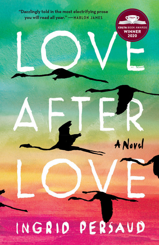 Love After Love - A Novel