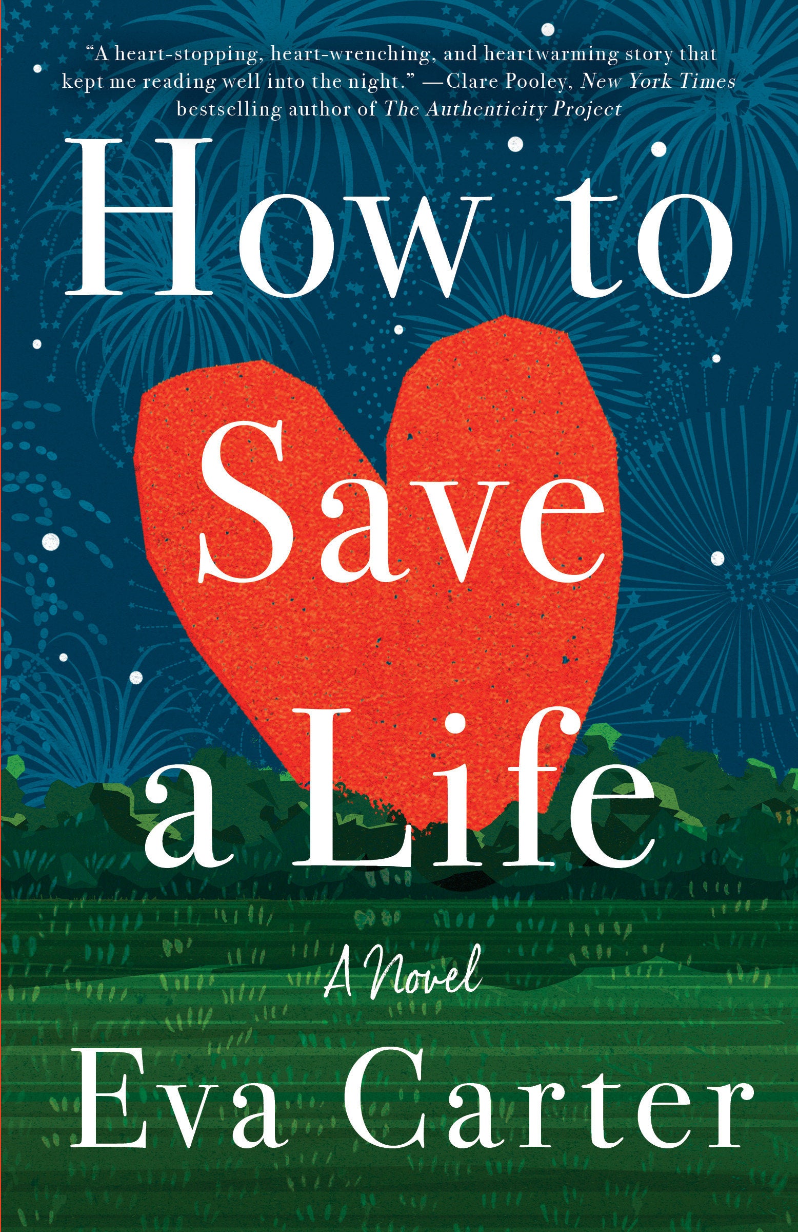 How to Save a Life - A Novel