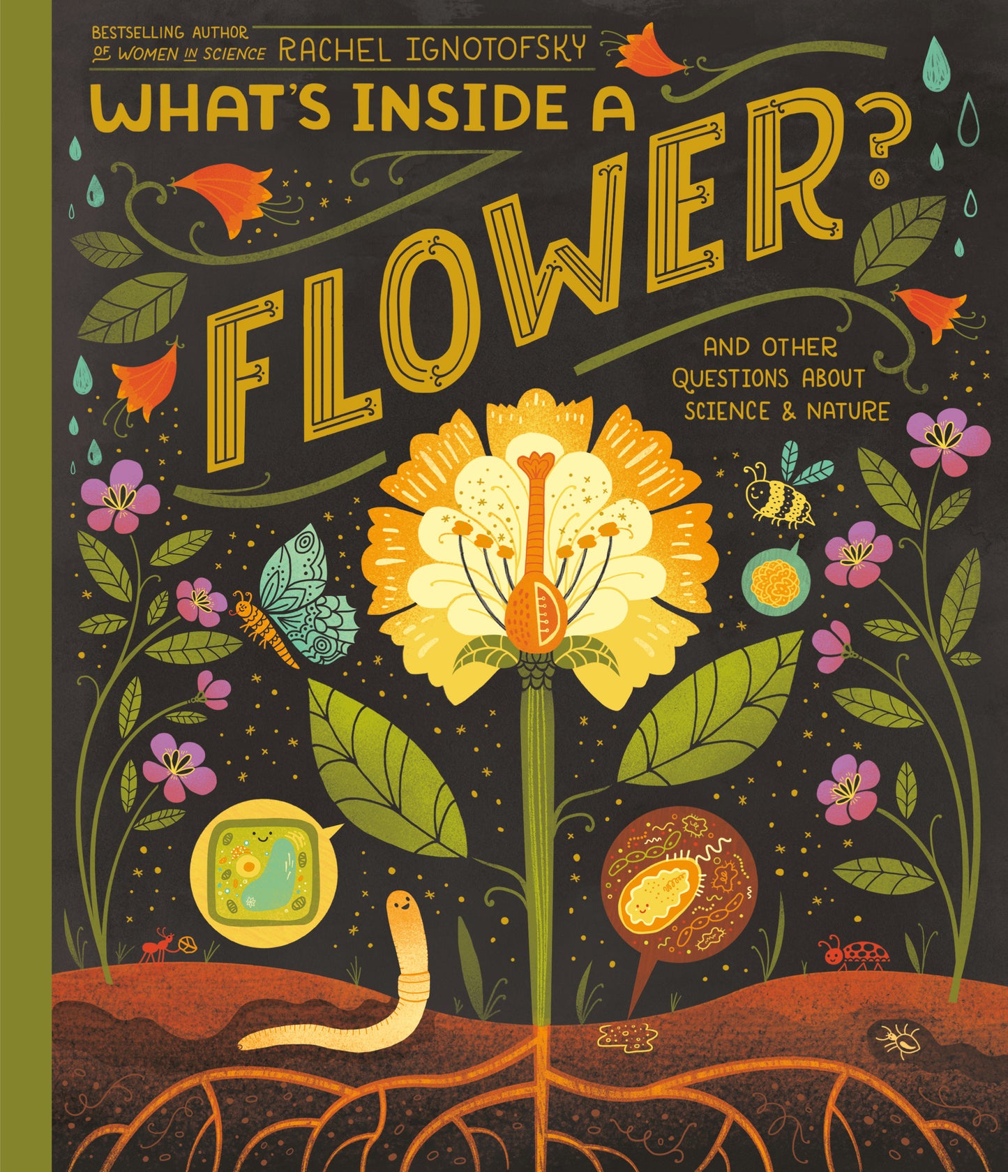 What's Inside A Flower? - And Other Questions About Science & Nature (What's Inside)
