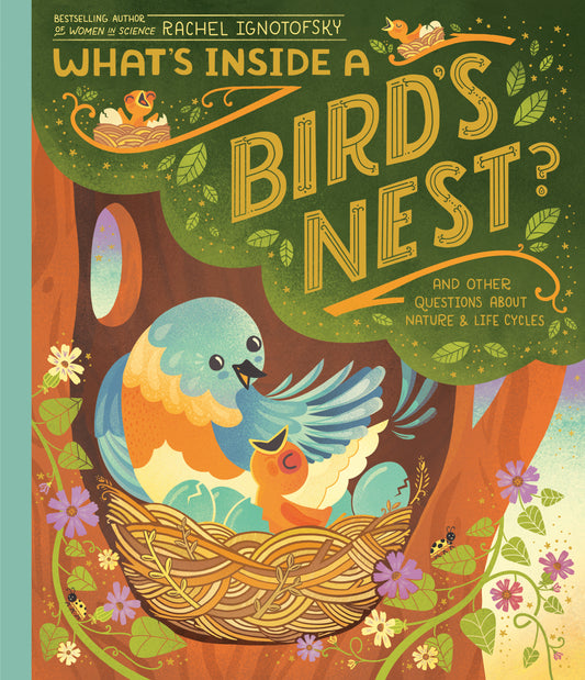 What's Inside A Bird's Nest? - And Other Questions About Nature & Life Cycles (What's Inside)