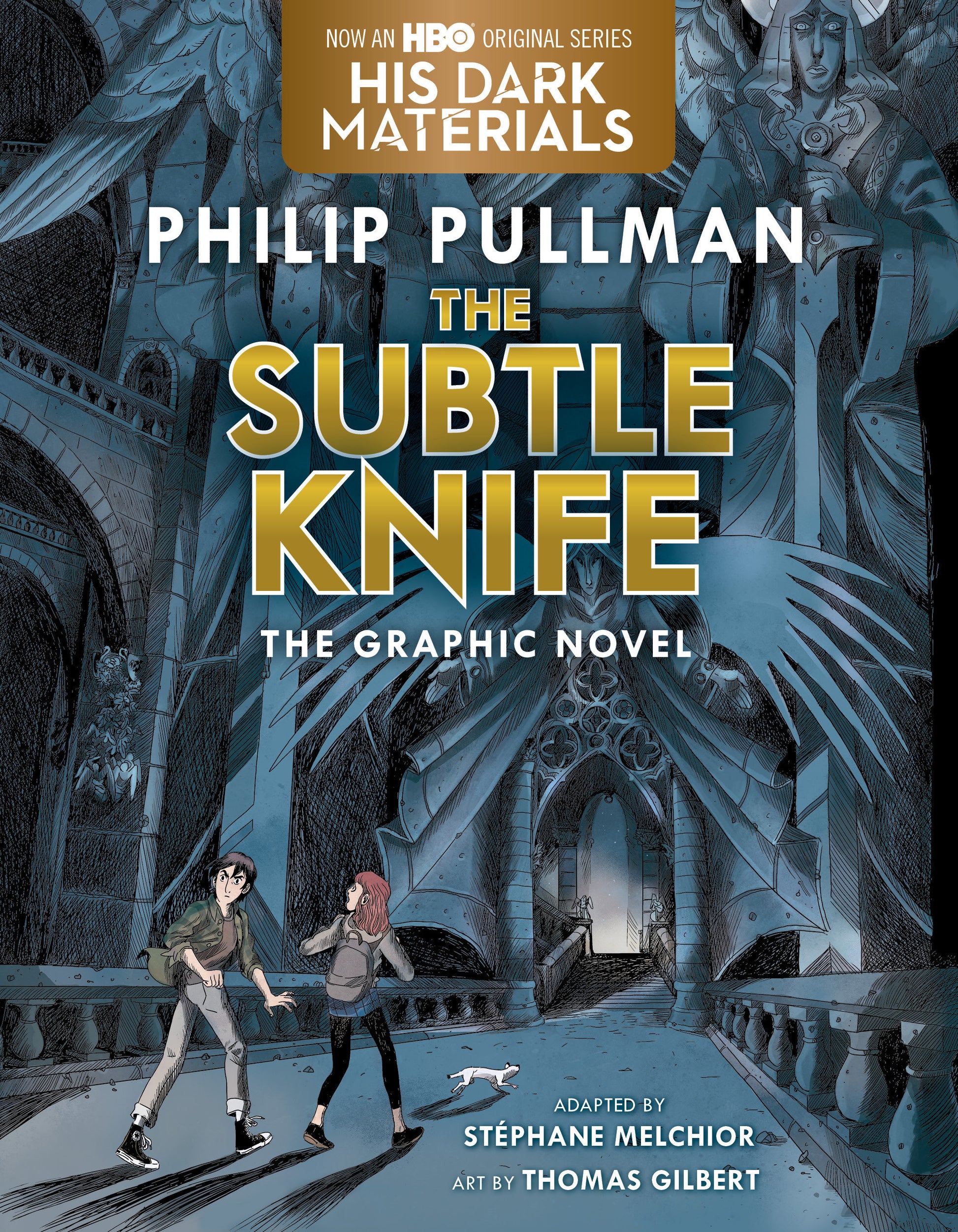 The Subtle Knife Graphic Novel (His Dark Materials) (Book:2)