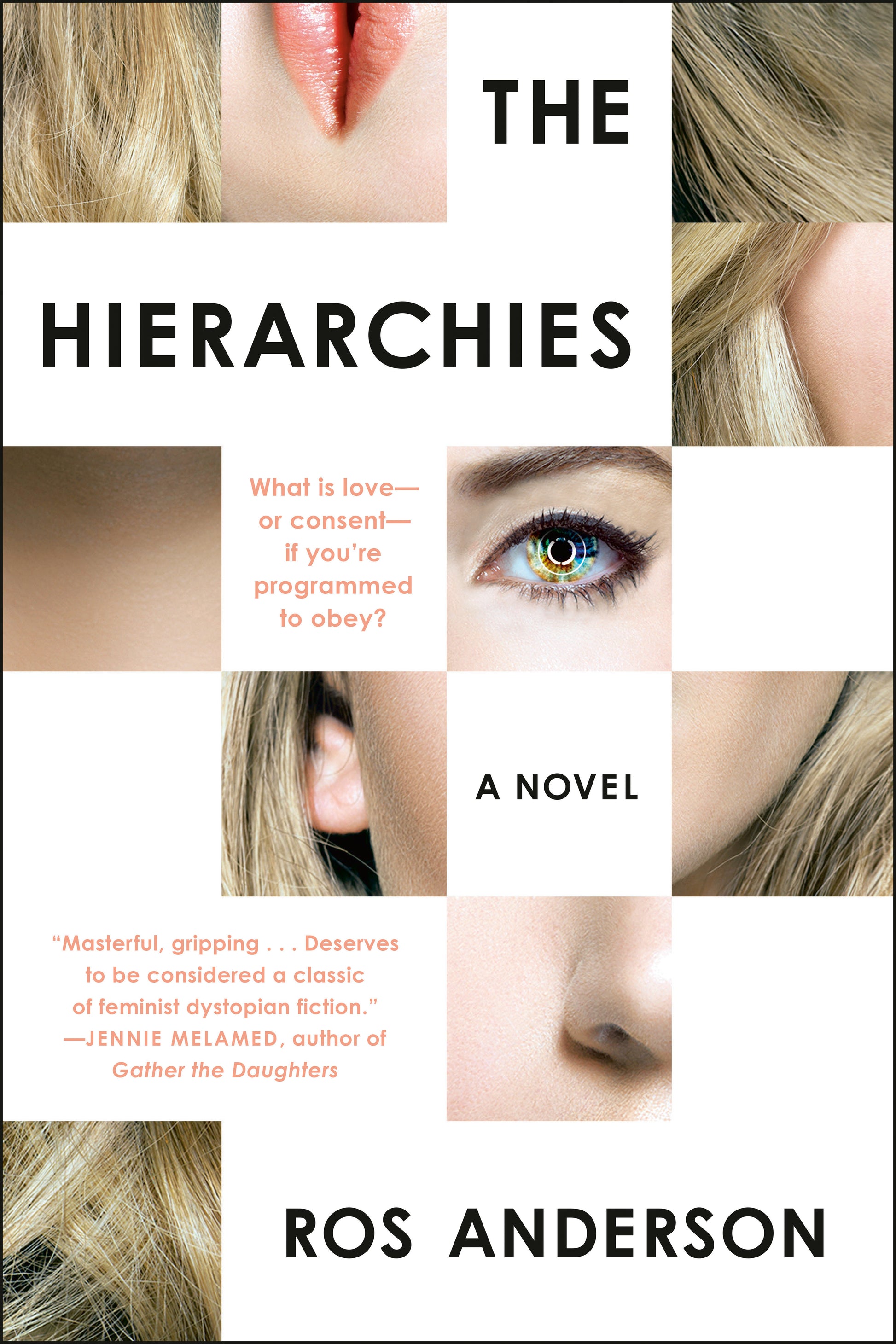 The Hierarchies - A Novel