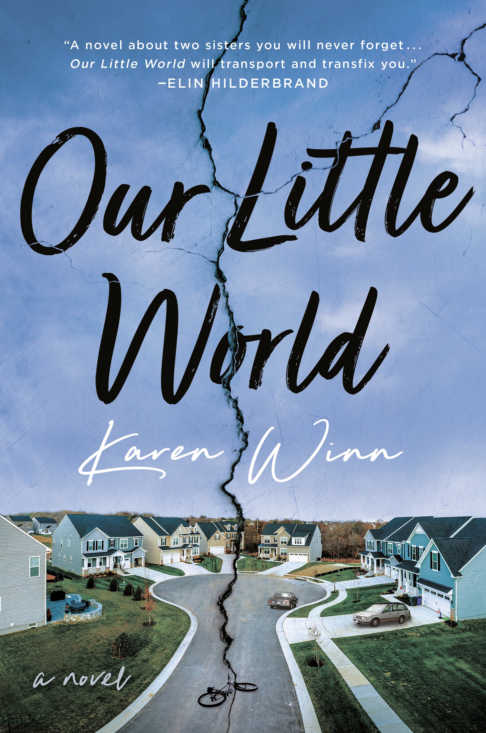 Our Little World - A Novel