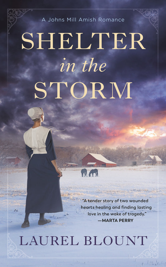 Shelter in the Storm (A Johns Mill Amish Romance) (Book:1)