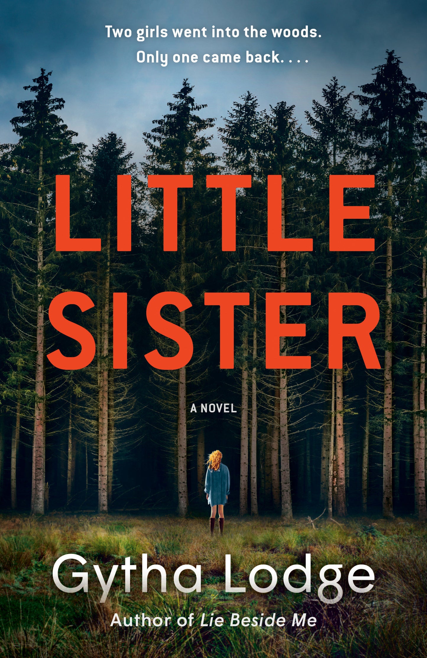 Little Sister - A Novel (Jonah Sheens Detective Series) (Book:4)