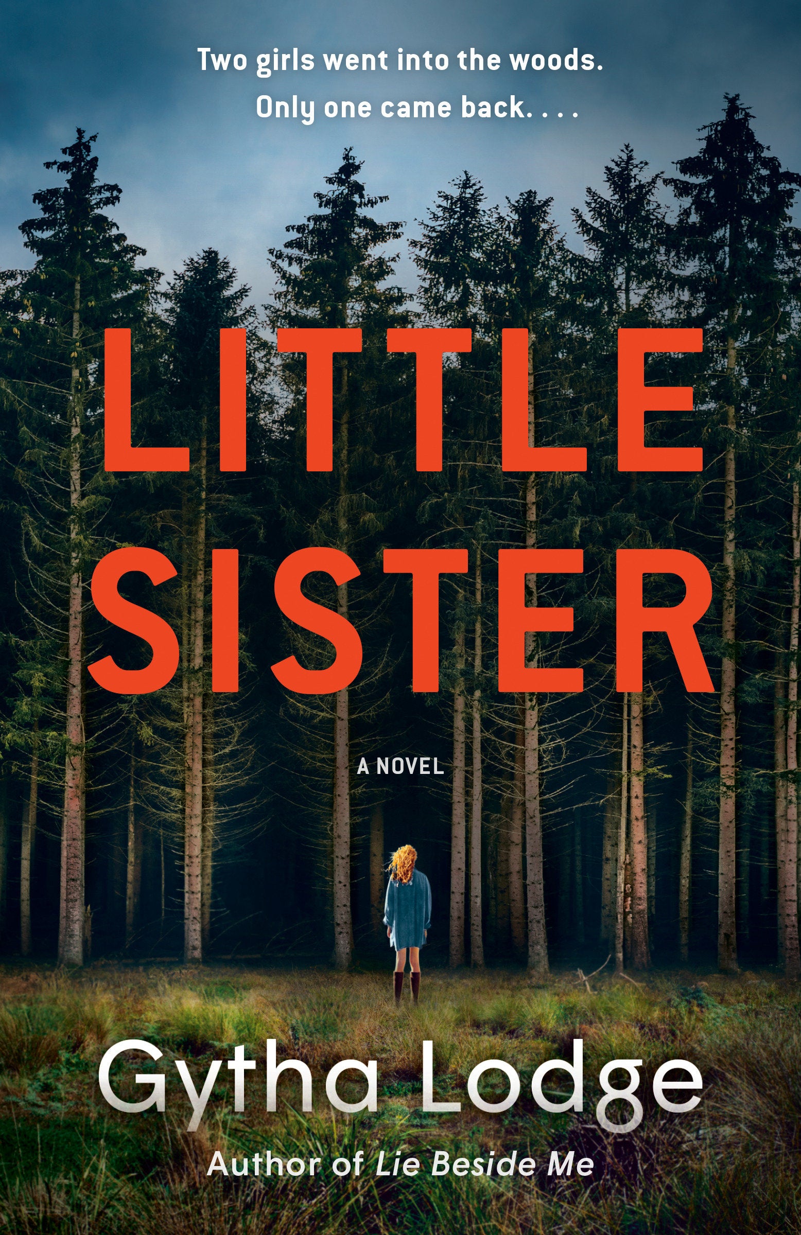 Little Sister - A Novel (Jonah Sheens Detective Series) (Book:4)