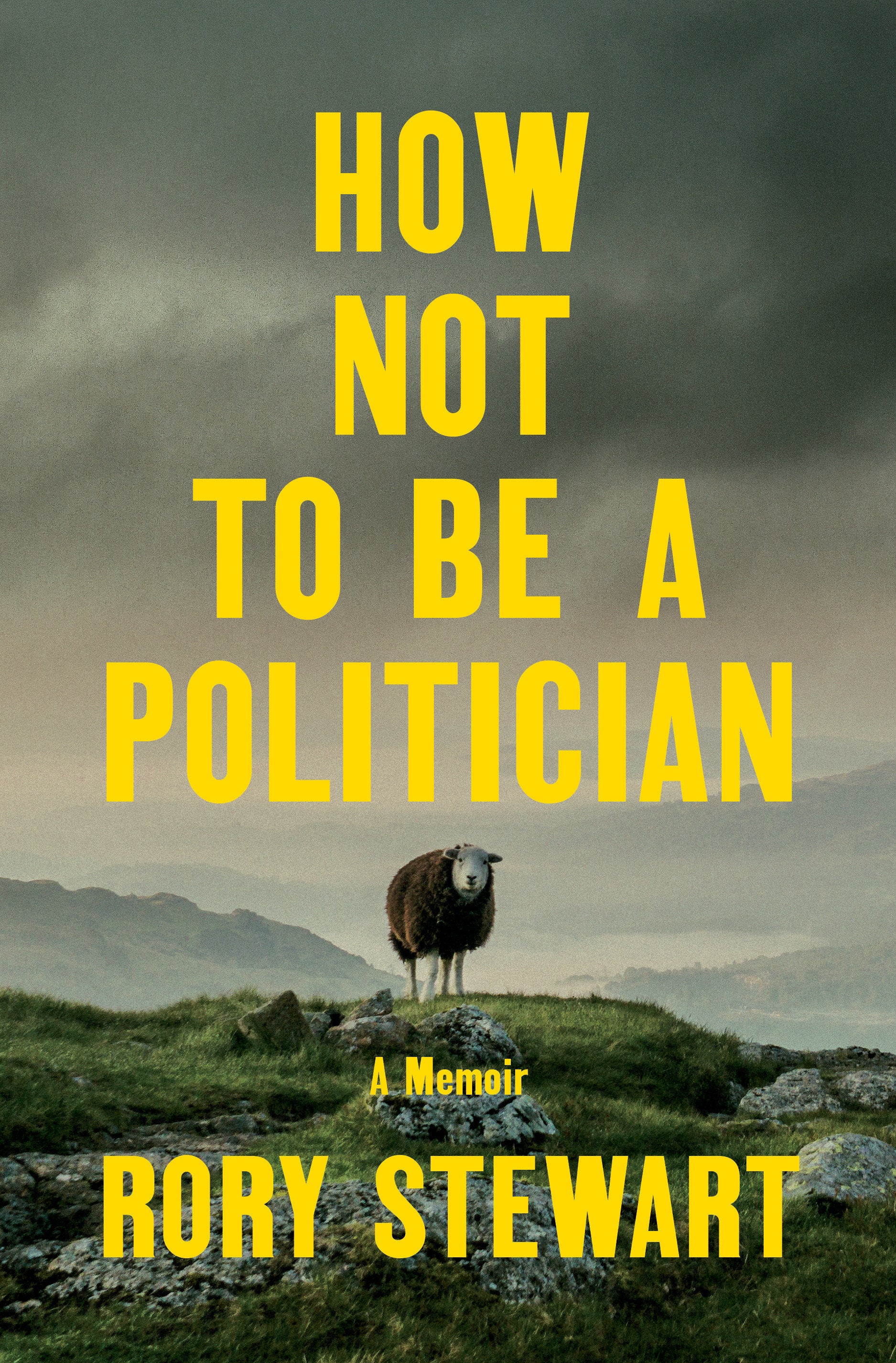 How Not to Be a Politician - A Memoir