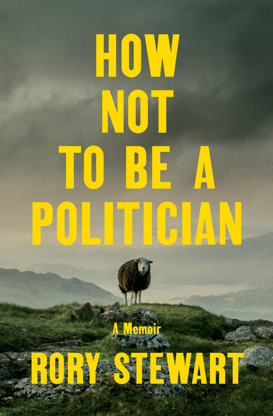 How Not to Be a Politician - A Memoir