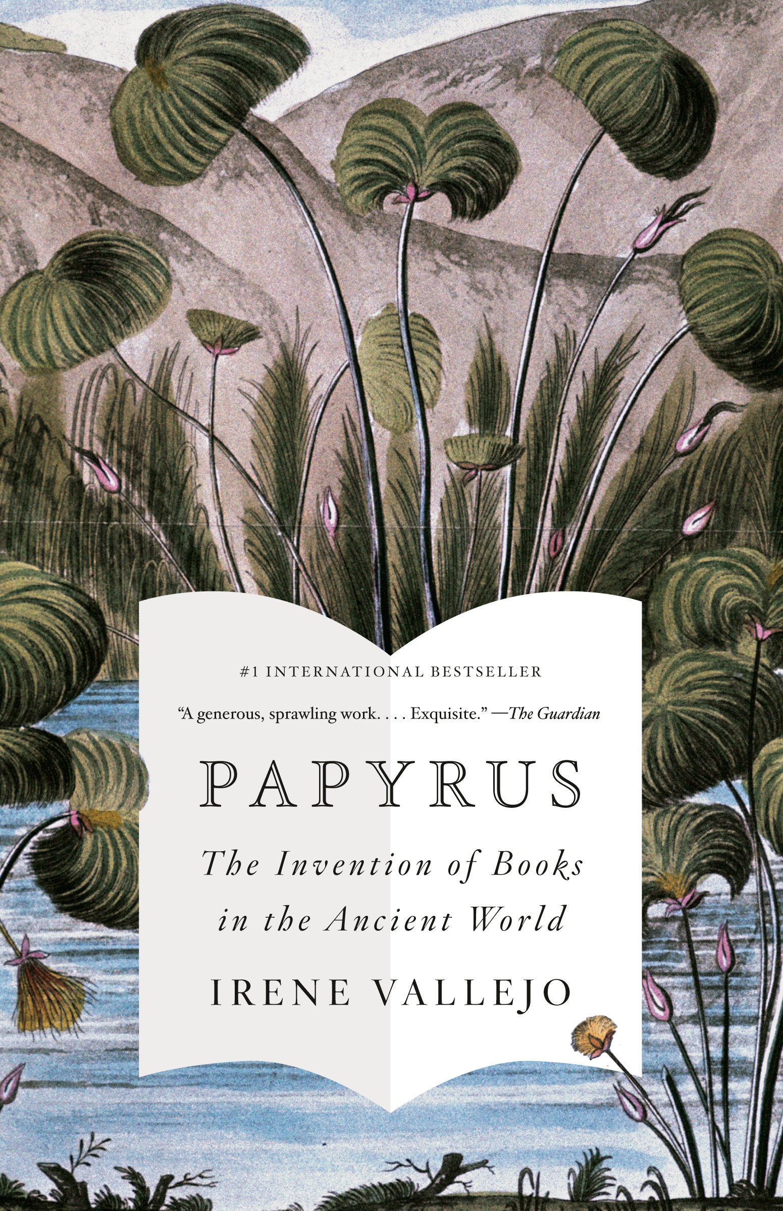 Papyrus - The Invention of Books in the Ancient World