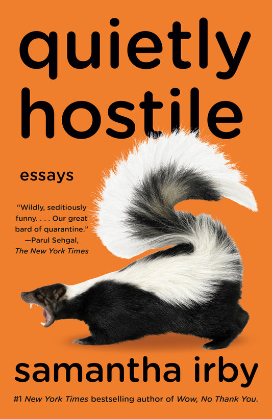 Quietly Hostile - Essays