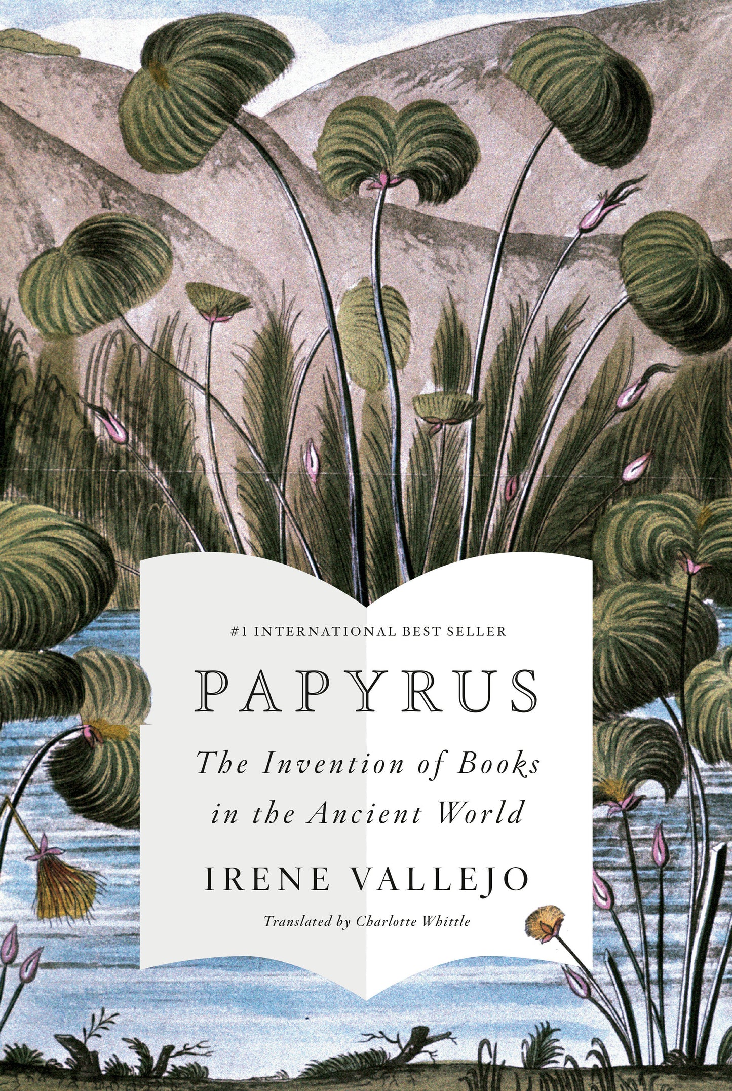 Papyrus - The Invention of Books in the Ancient World