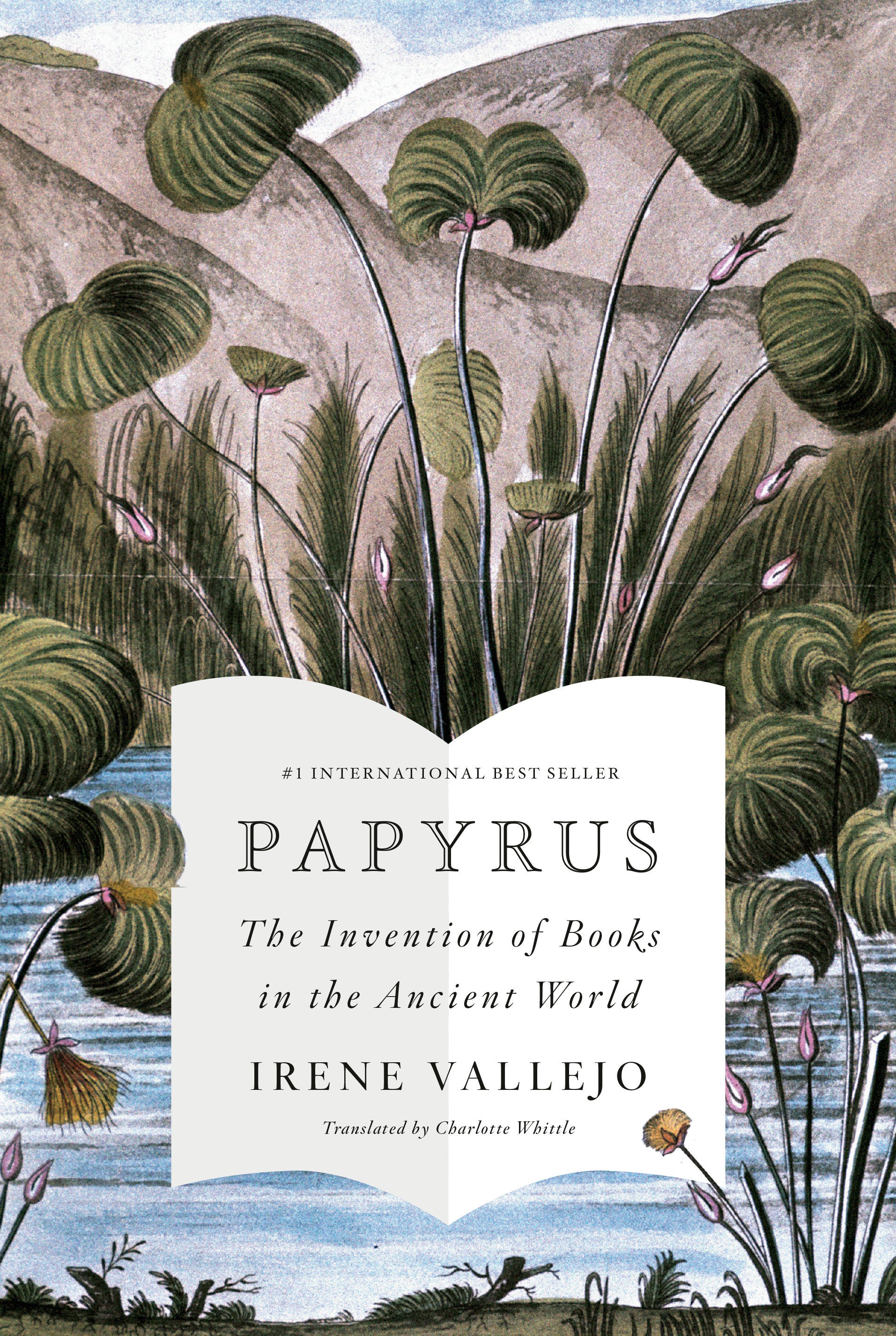 Papyrus - The Invention of Books in the Ancient World