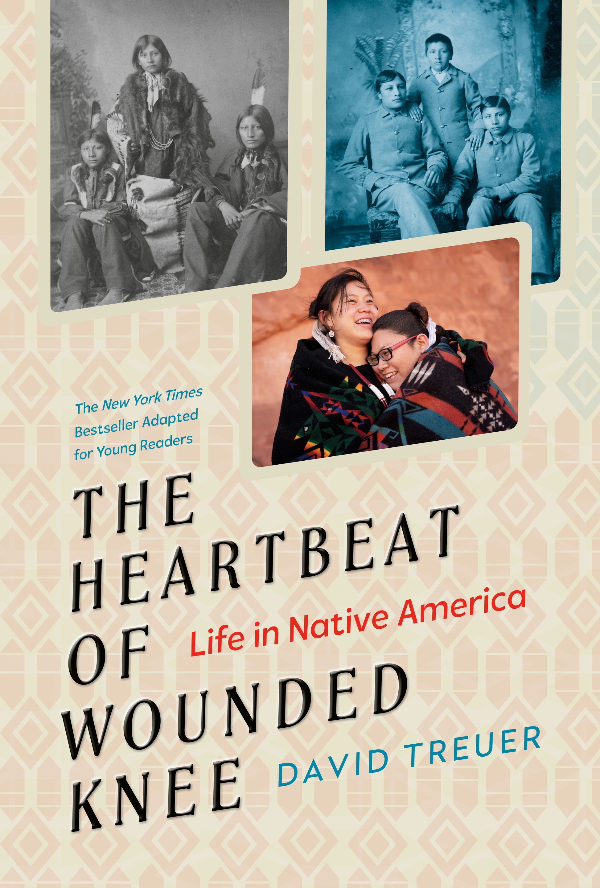 The Heartbeat of Wounded Knee (Young Readers Adaptation) - Life in Native America
