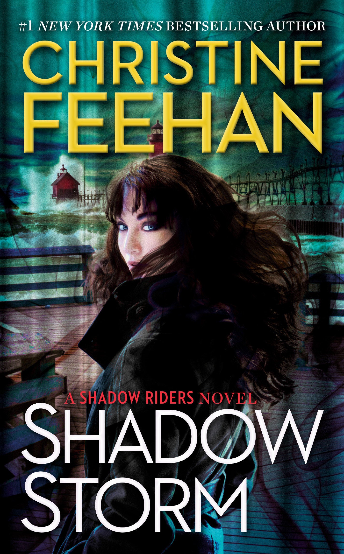 Shadow Storm (A Shadow Riders Novel) (Book:6)