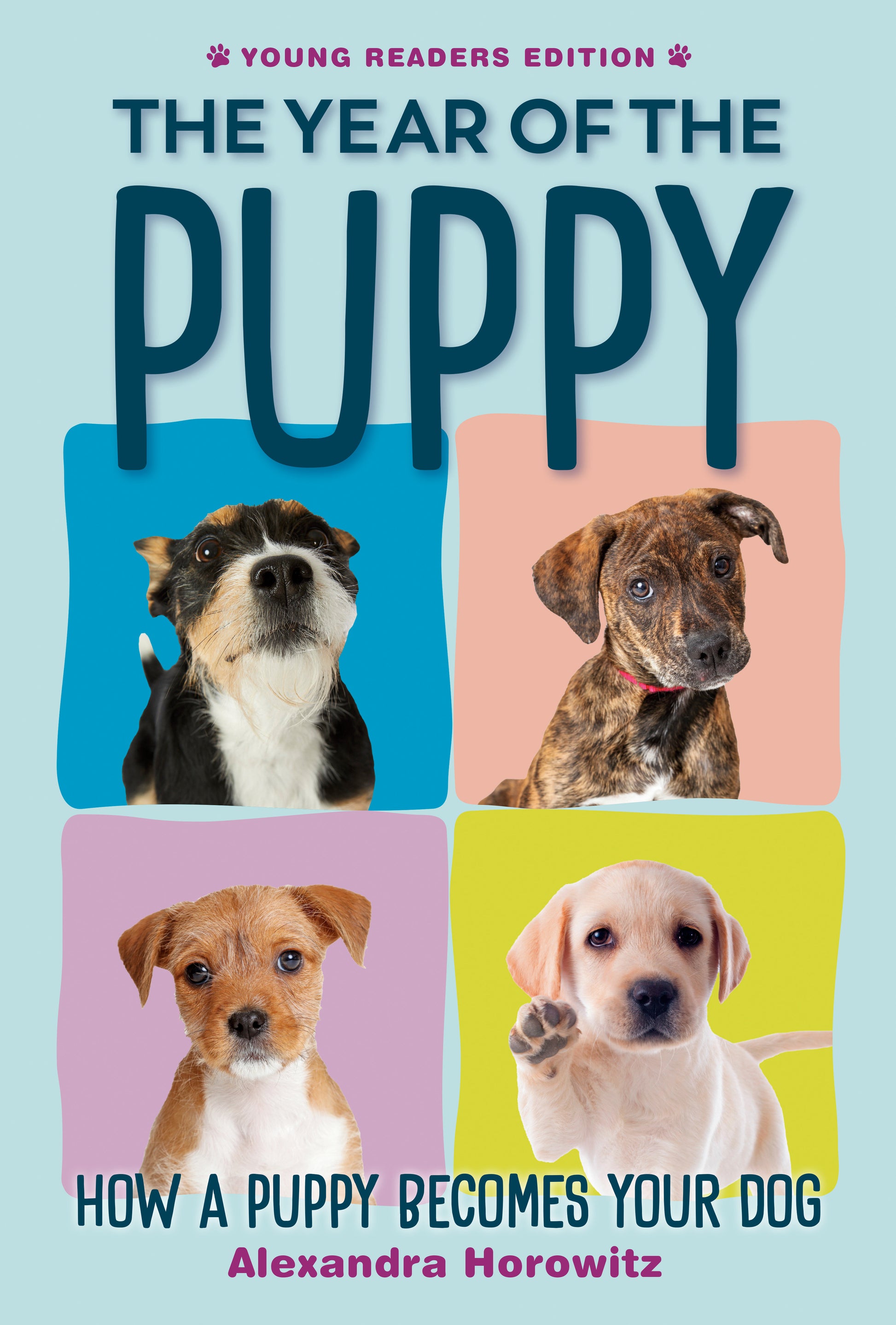 The Year of the Puppy - How a Puppy Becomes Your Dog