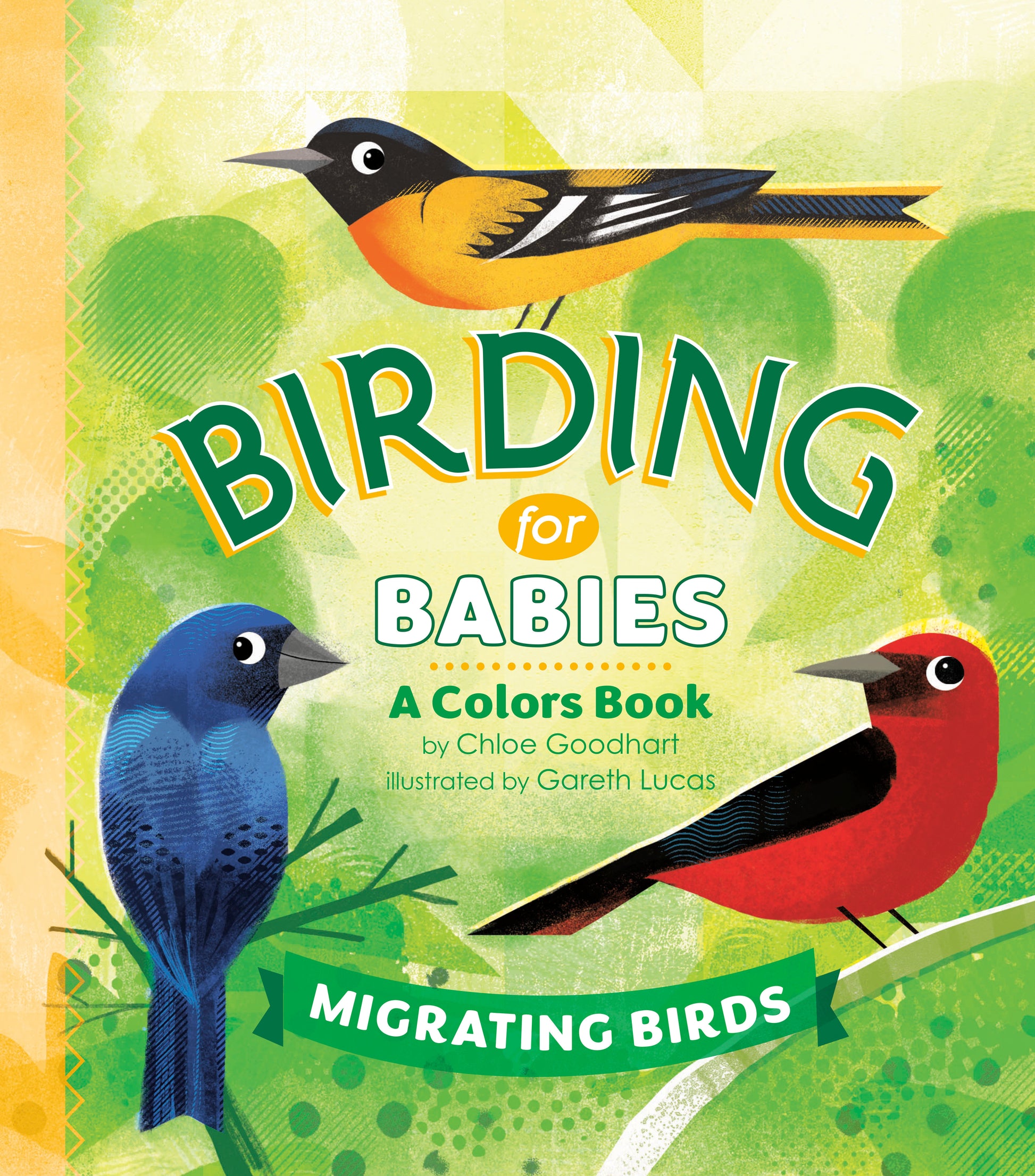 Birding for Babies: Migrating Birds - A Colors Book