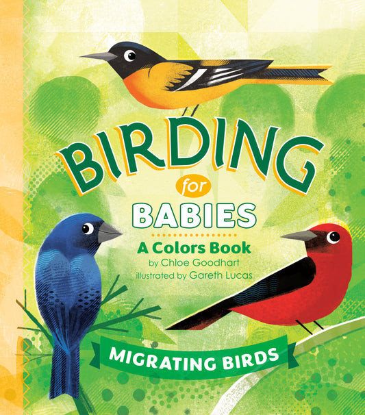 Birding for Babies: Migrating Birds - A Colors Book