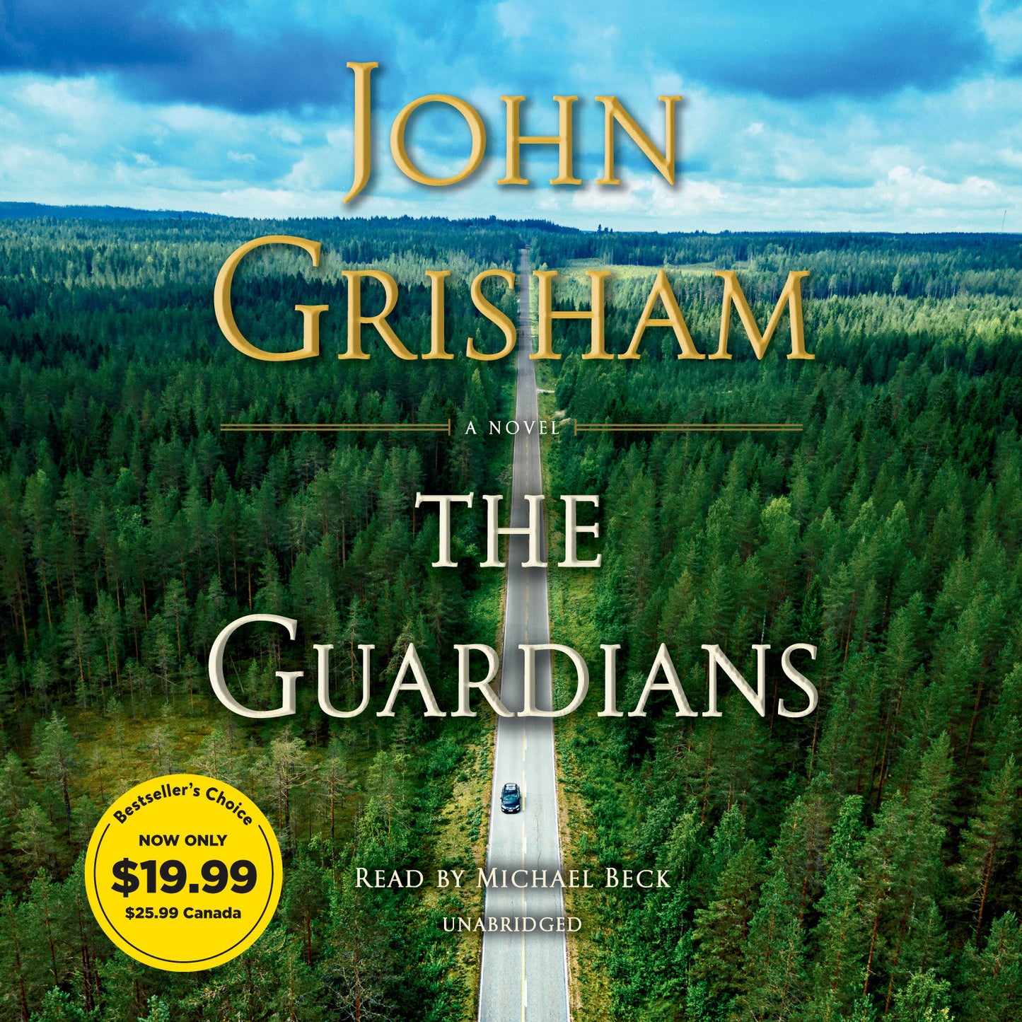 The Guardians - A Novel