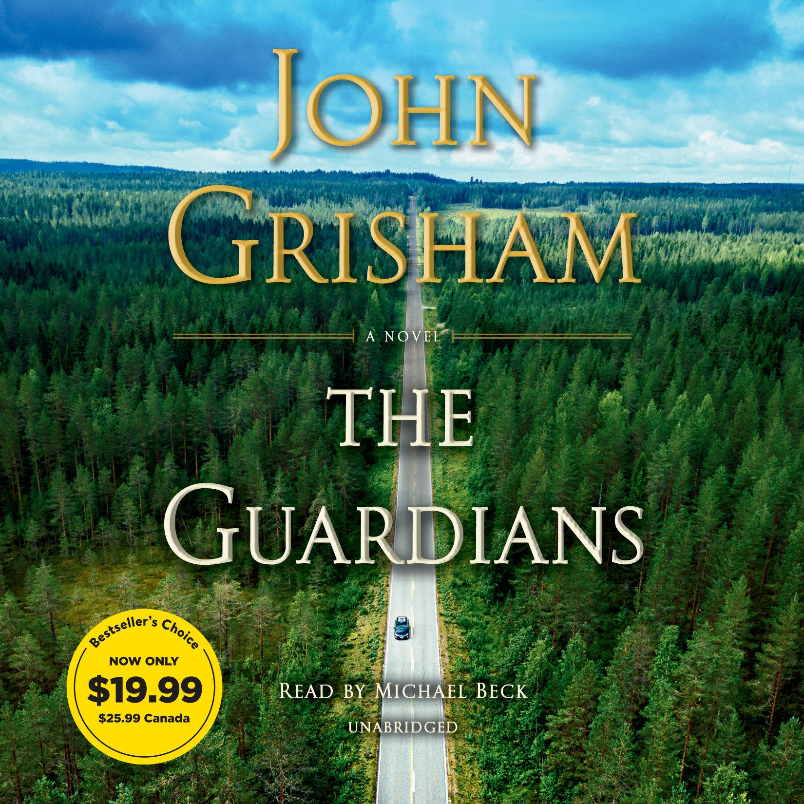 The Guardians - A Novel