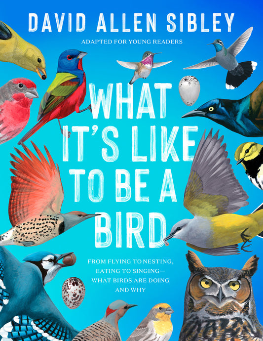 What It's Like to Be a Bird (Adapted for Young Readers) - From Flying to Nesting, Eating to Singing--What Birds Are Doing and Why