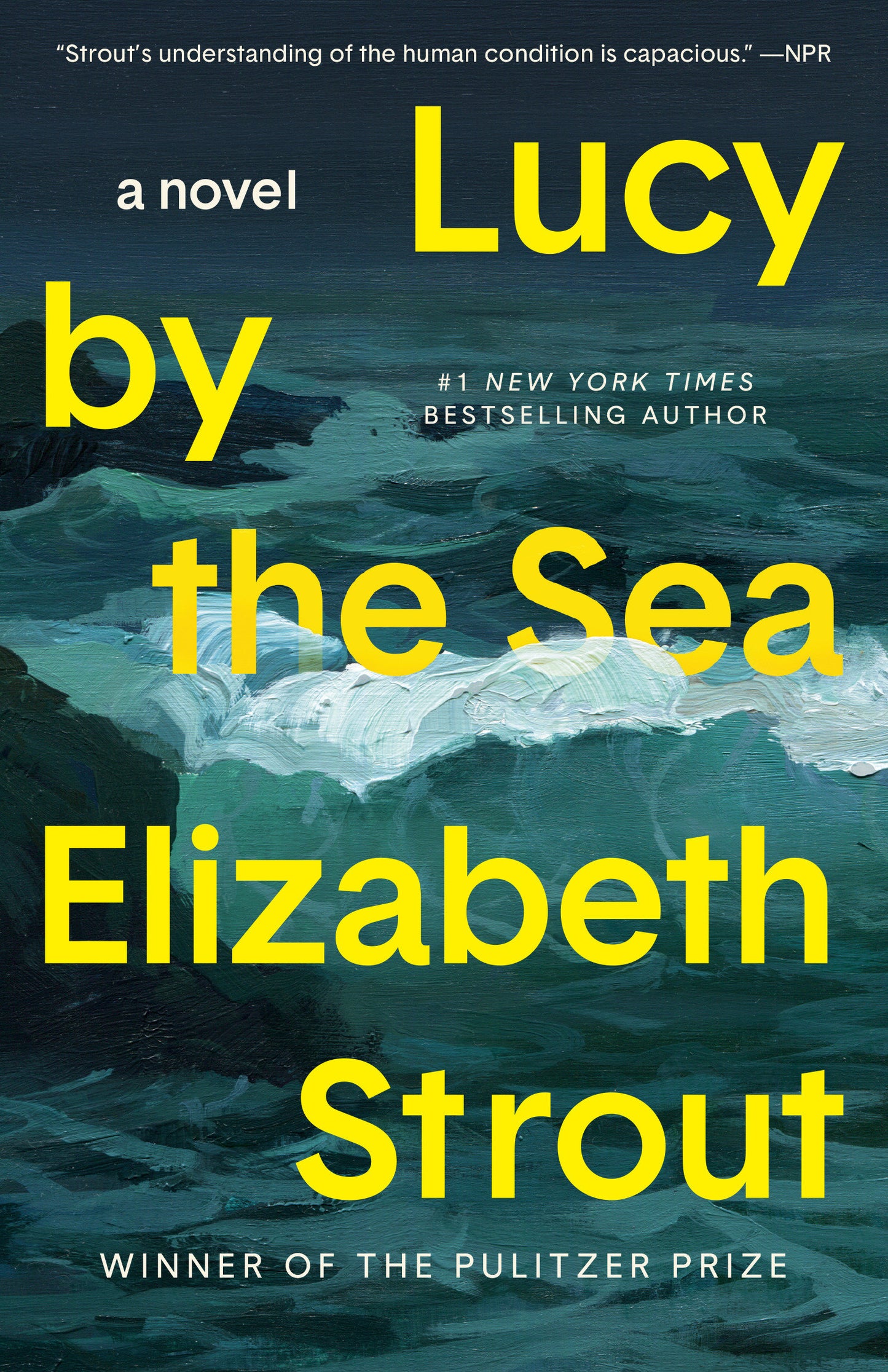 Lucy by the Sea - A Novel