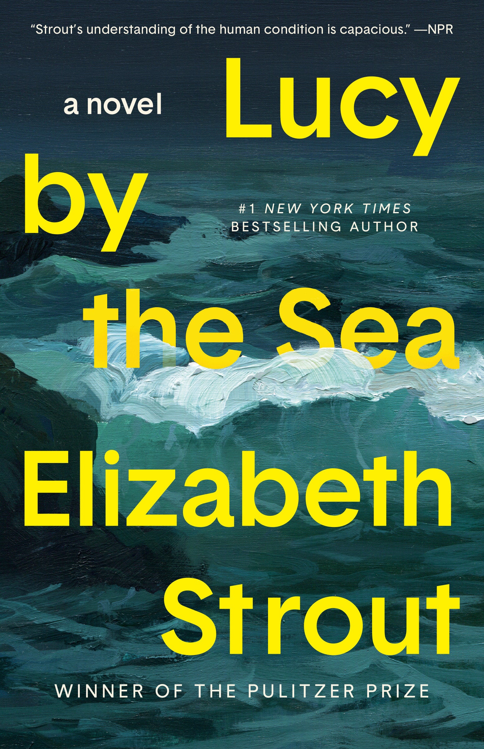 Lucy by the Sea - A Novel