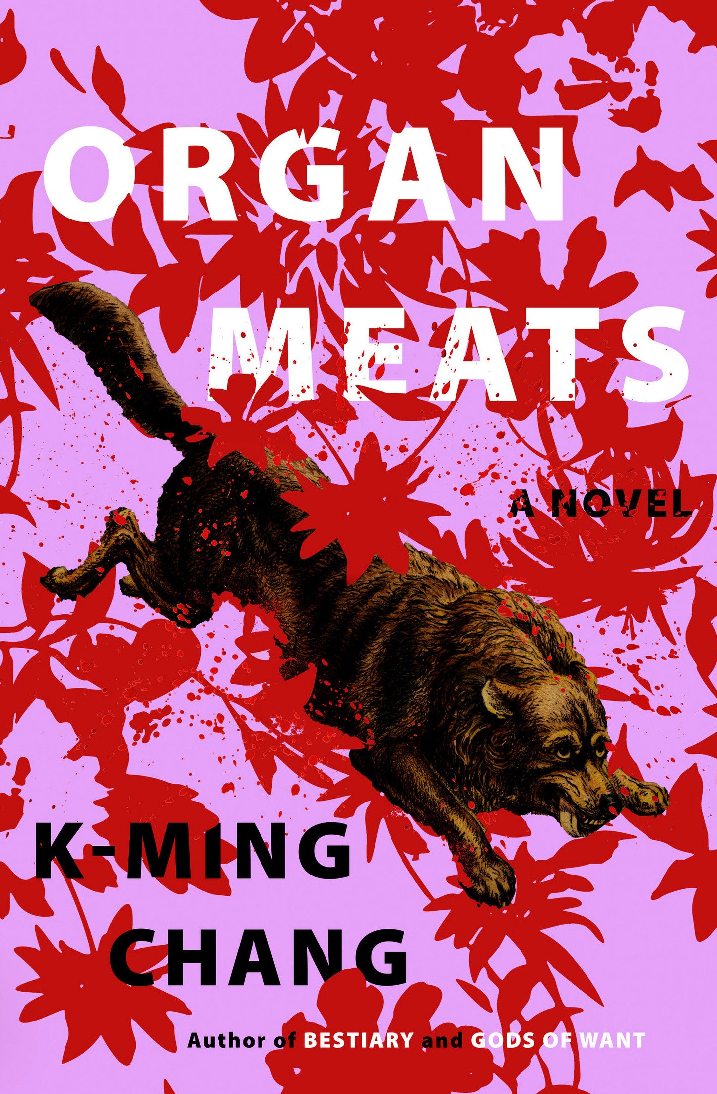 Organ Meats - A Novel