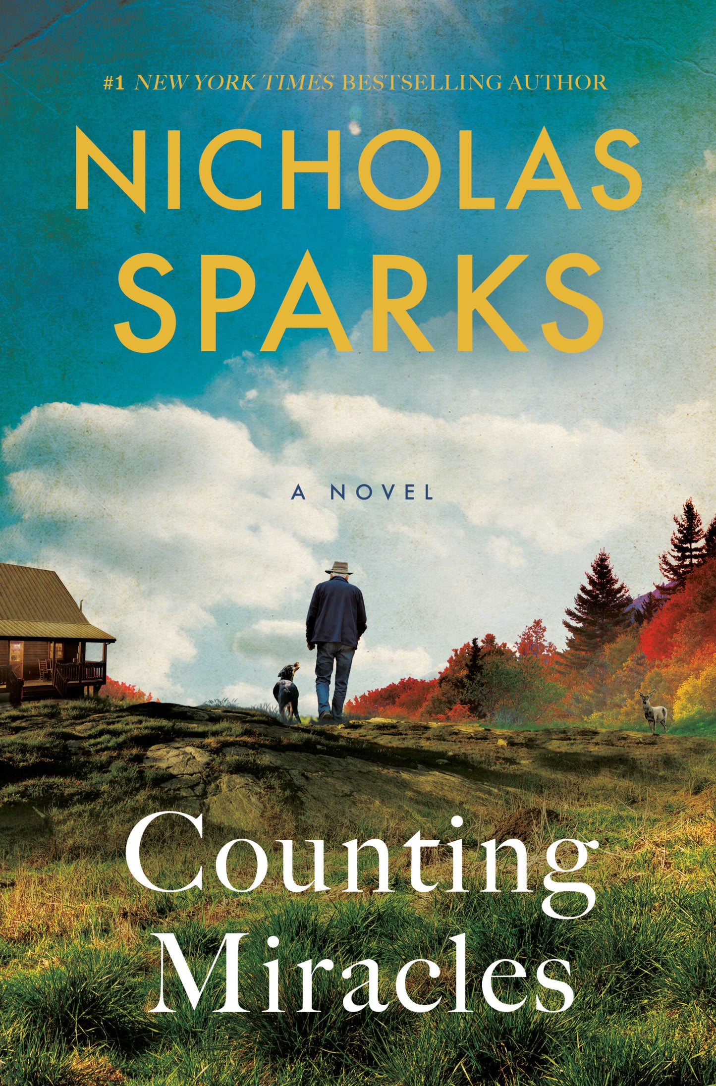 Counting Miracles - A Novel