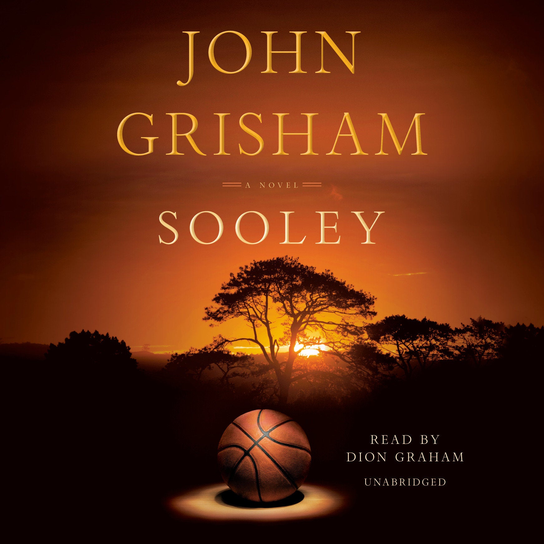 Sooley - A Novel