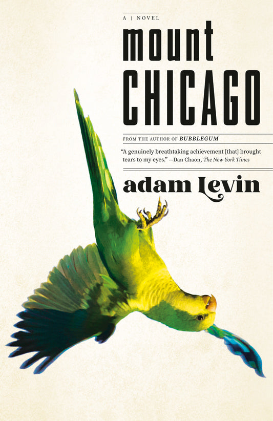 Mount Chicago - A Novel