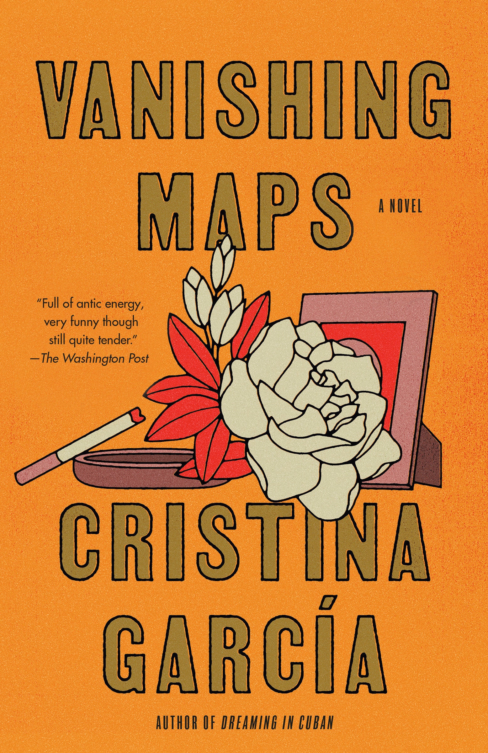 Vanishing Maps - A novel