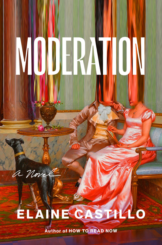 Moderation - A Novel