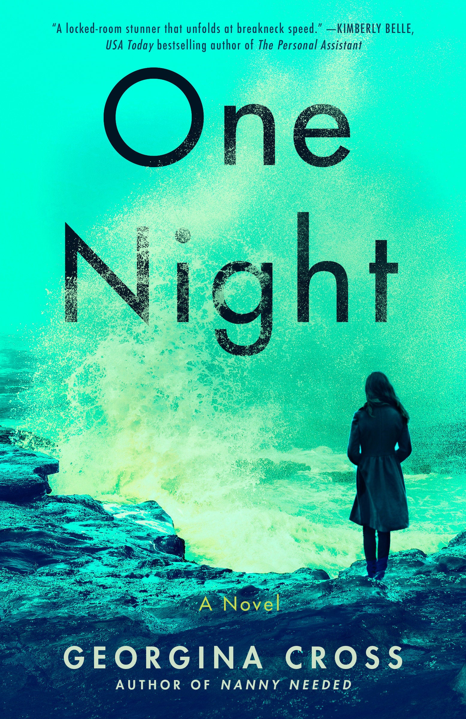 One Night - A Novel