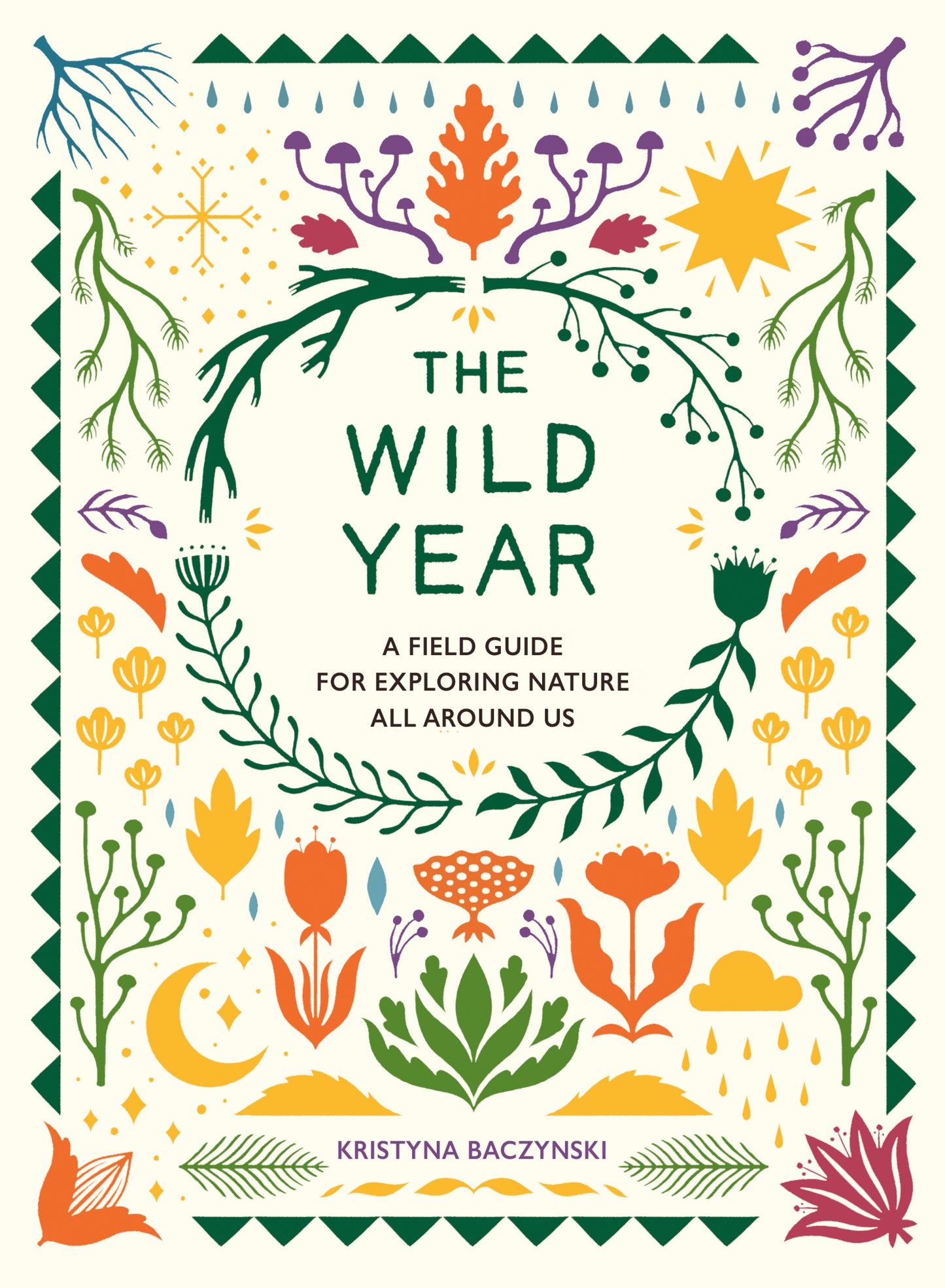 The Wild Year - A Field Guide for Exploring Nature All Around Us