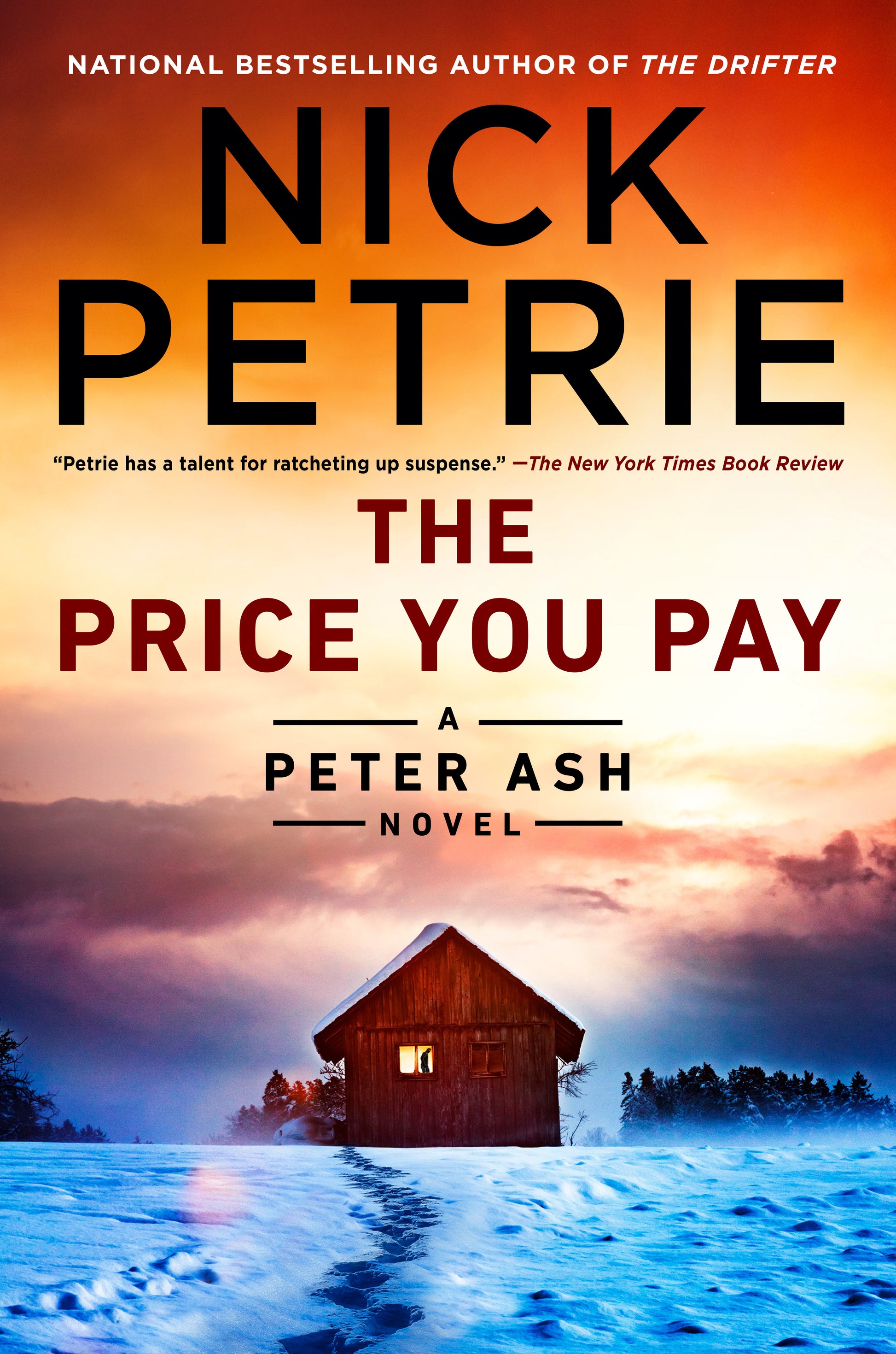 The Price You Pay (A Peter Ash Novel) (Book:8)