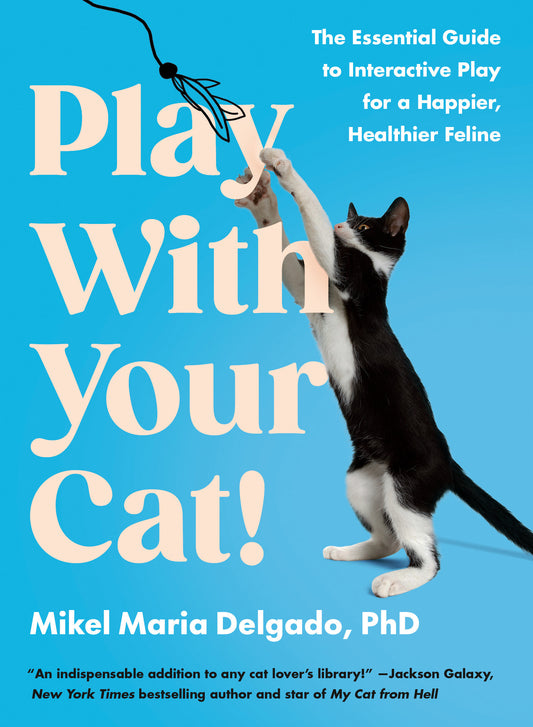 Play With Your Cat! - The Essential Guide to Interactive Play for a Happier, Healthier Feline