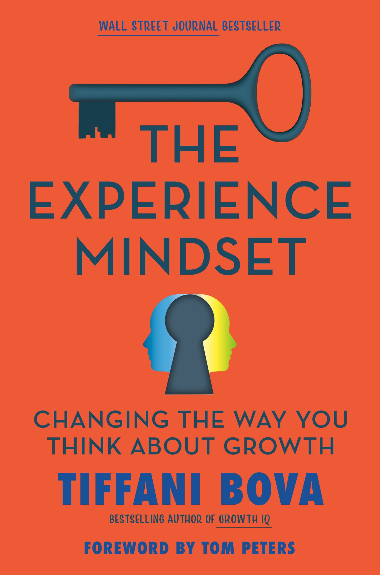 The Experience Mindset - Changing the Way You Think About Growth