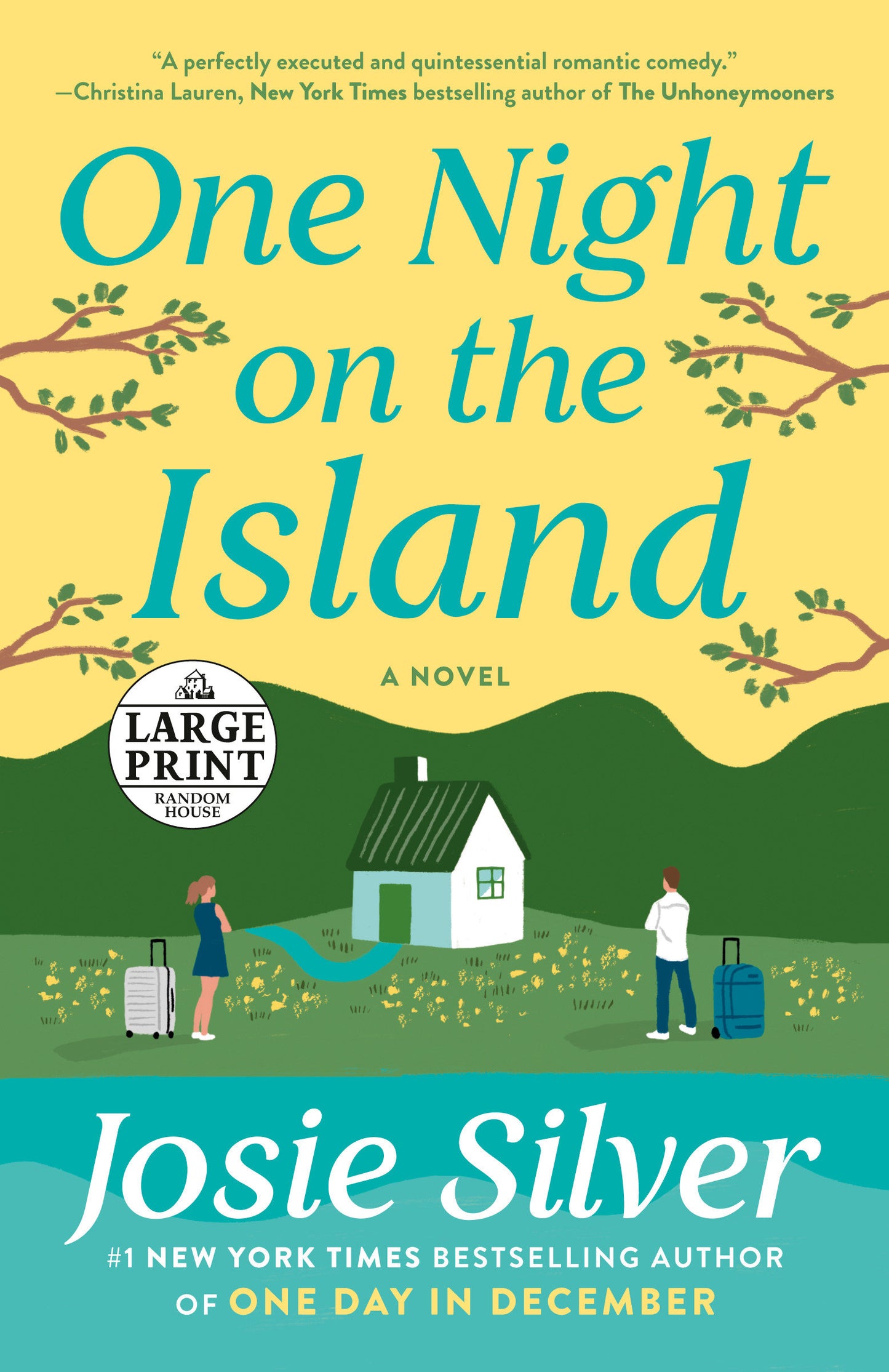 One Night on the Island - A Novel