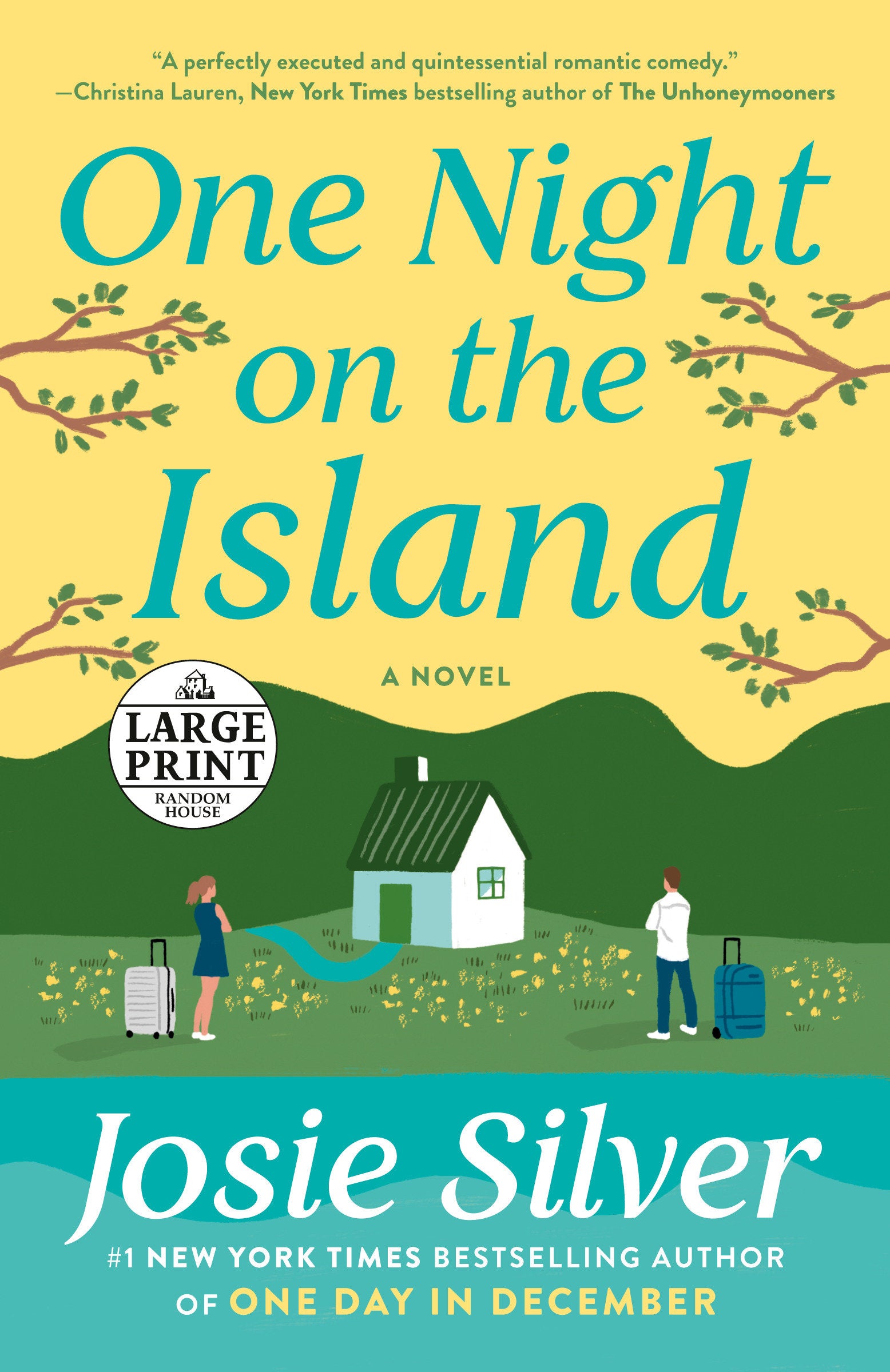 One Night on the Island - A Novel